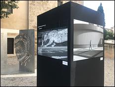 Expo 5
