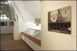 Expo Château-Chinon - 05