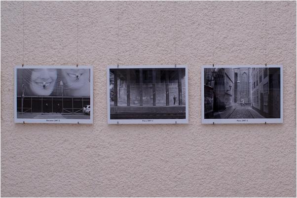 Expo Dobrich - 02