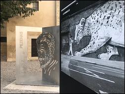 Pézenas 11